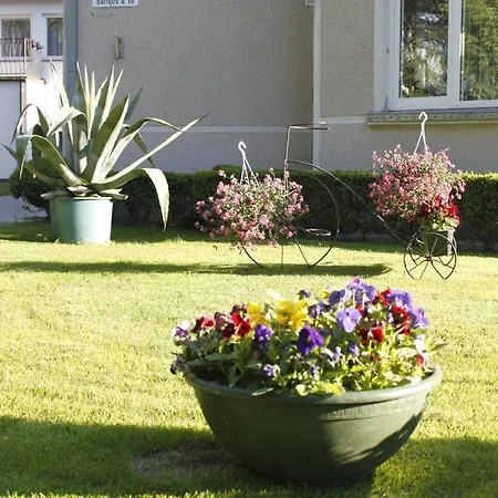 Vendégház Elena Palanga