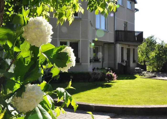 בית הארחה Elena