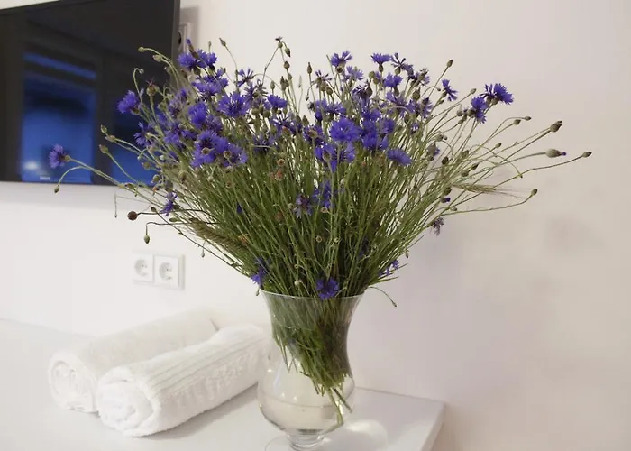 בית הארחה Elena